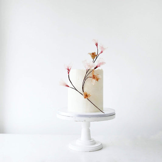 Maine Cake